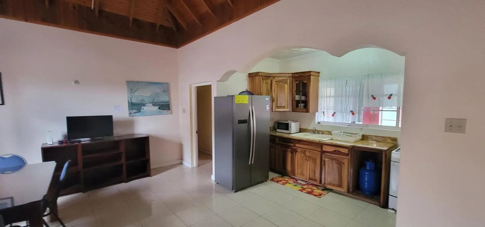Wizzy Apartment White River Ocho Rios