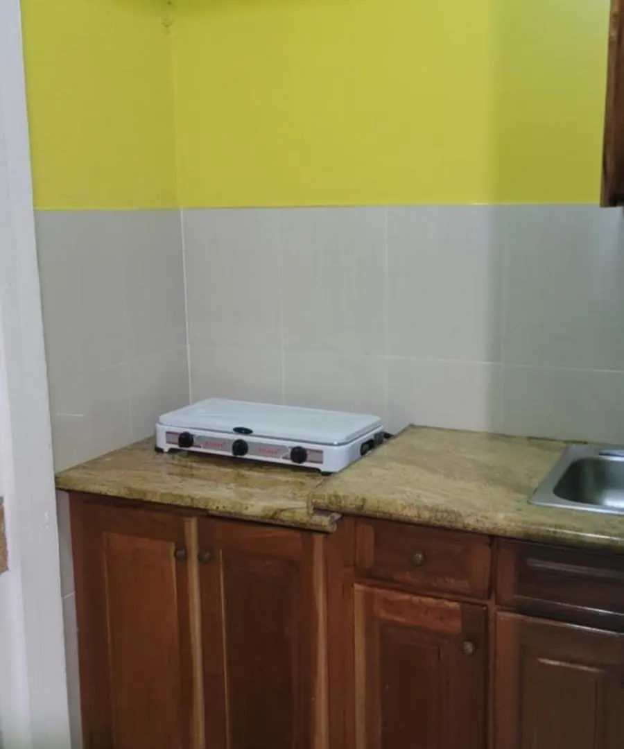 Wizzy Apartment White River 奥乔里奥斯 0*,  牙买加