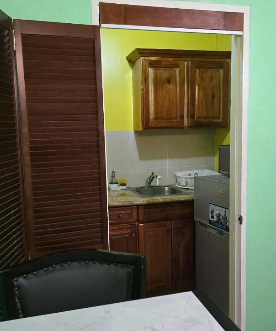 Wizzy Apartment White River 奥乔里奥斯 牙买加