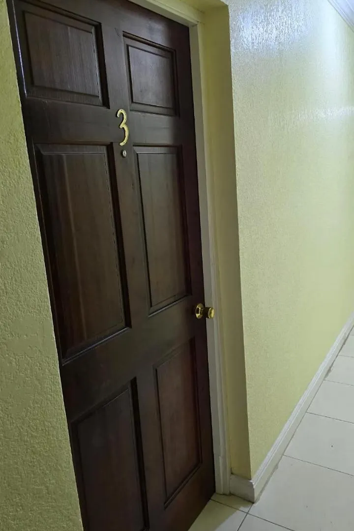 Wizzy Apartment White River Ocho Rios