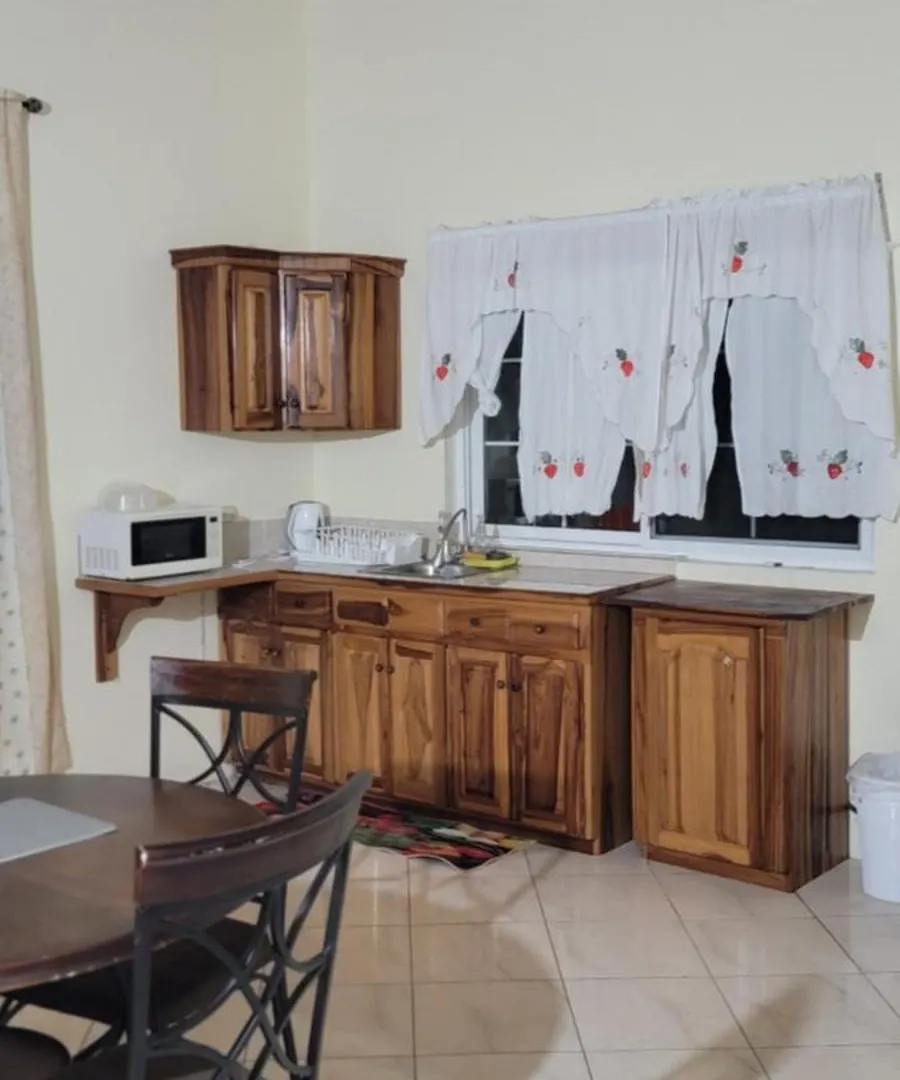 Wizzy Apartment White River Ότσο Ρίος