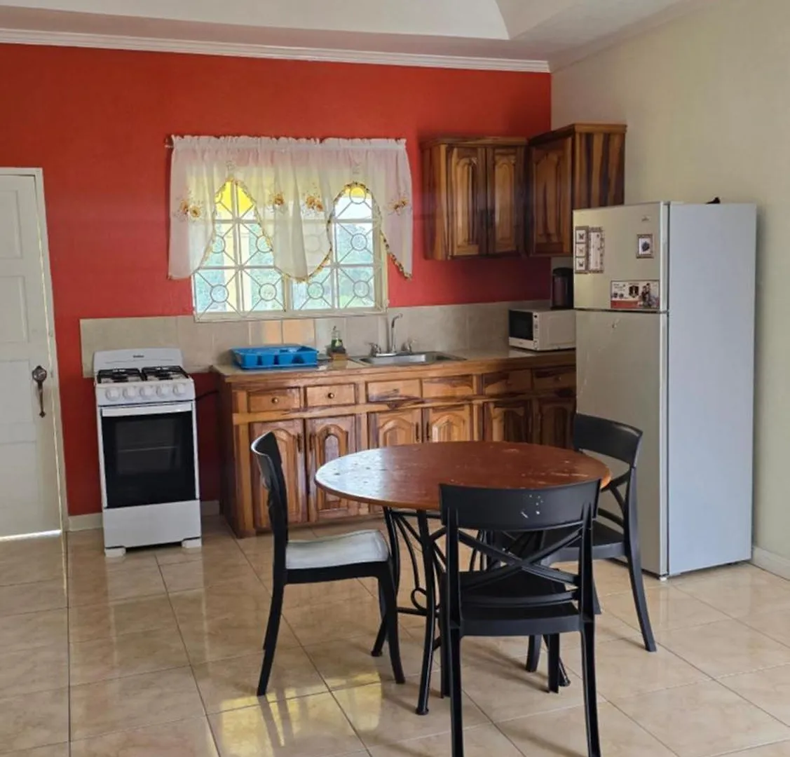 Wizzy Apartment White River Ότσο Ρίος Τζαμάικα