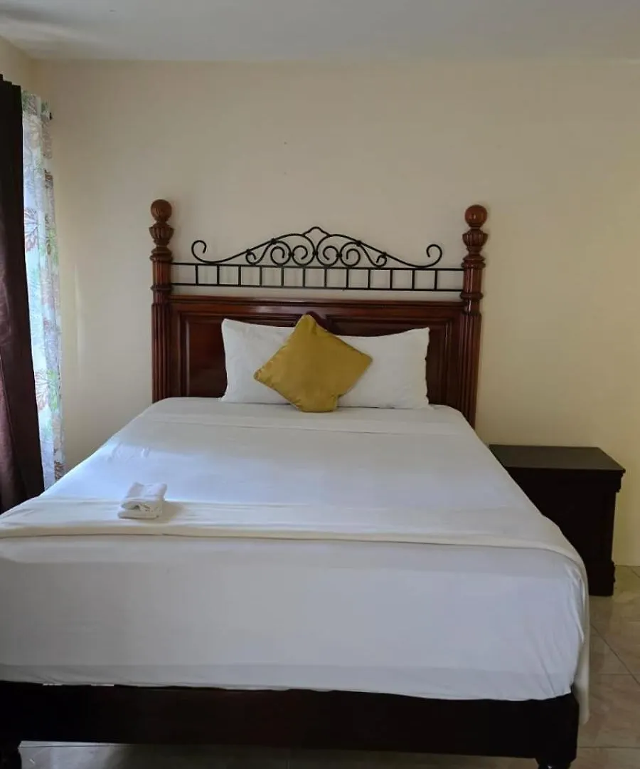 Wizzy Apartment White River Ότσο Ρίος Τζαμάικα